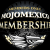 Membresia con Tienda Web mas API mayorista - Image 2